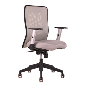 Kancelářská židle na kolečkách Office Pro CALYPSO - s područkami Celosvětle šedá 12A11
