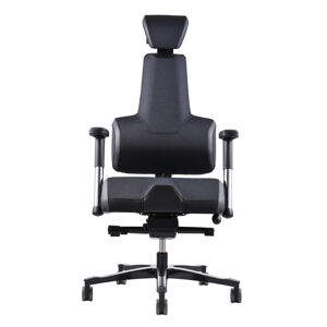 Zdravotní židle THERAPIA ENERGY+ (L) –⁠ více barev (akční nabídka) HX50 BLACK