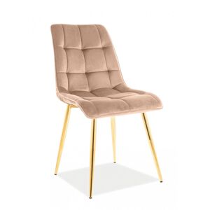Jídelní židle CHIC — kov, látka, zlatá / více barev Béžová