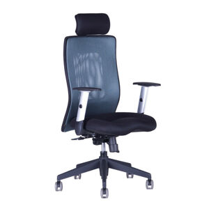 Kancelářská židle na kolečkách Office Pro CALYPSO XL SP1 - s područkami a podhlavníkem