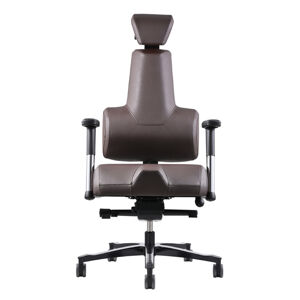 Zdravotní židle THERAPIA ENERGY+ (L) –⁠ více barev (akční nabídka) RX52 BROWN